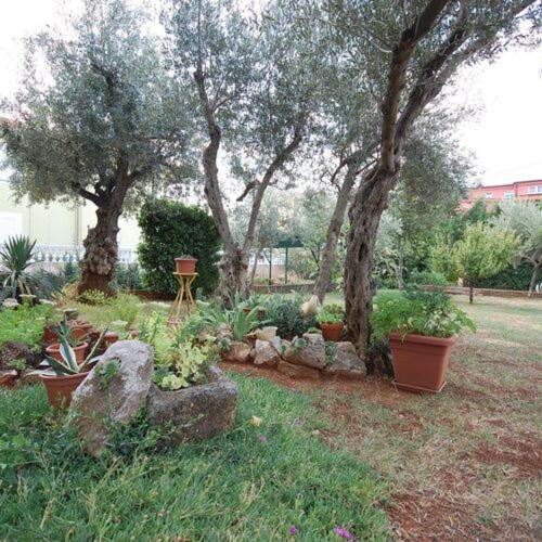 מאלינסקה Apartman Dorcic מראה חיצוני תמונה